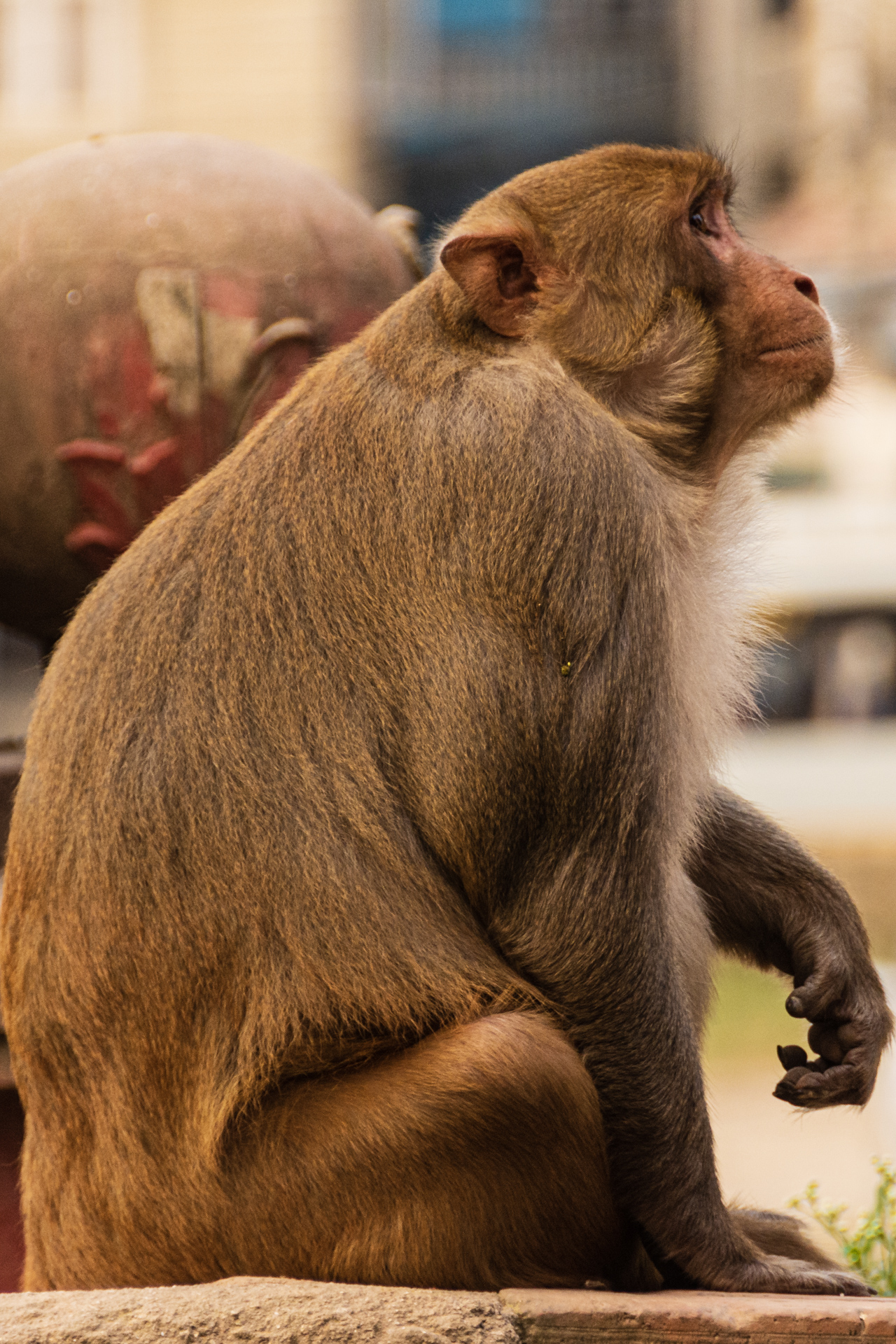 Kathmandu Pashupatinath Temple